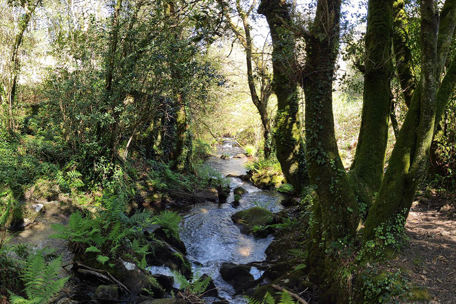 Río Almofrei (Pontevedra)