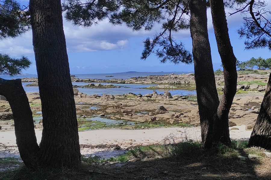 O Carreirón (A Illa de Arousa)