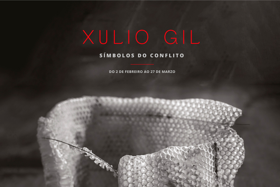 Museo de Pontevedra, previa exposición de Xulio Gil