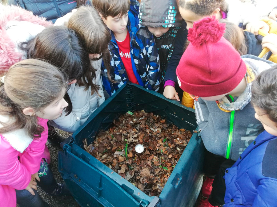 Cinco centros de ensino e dúas asociacións de Vilagarcía de Arousa, distinguidos co Selo Revitaliza