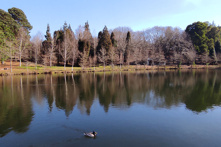 Lago Castiñeiras (Vilaboa - Marín)