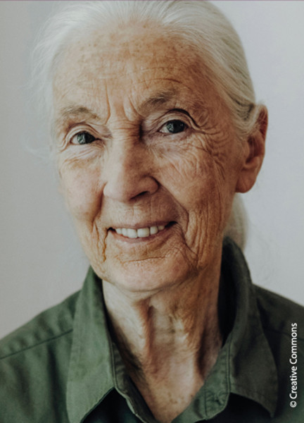 Jane Goodall