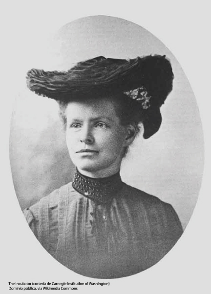 Nettie Maria Stevens