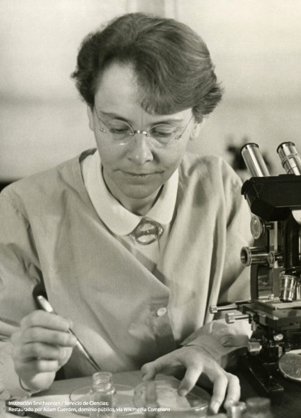 Barbara McClintock