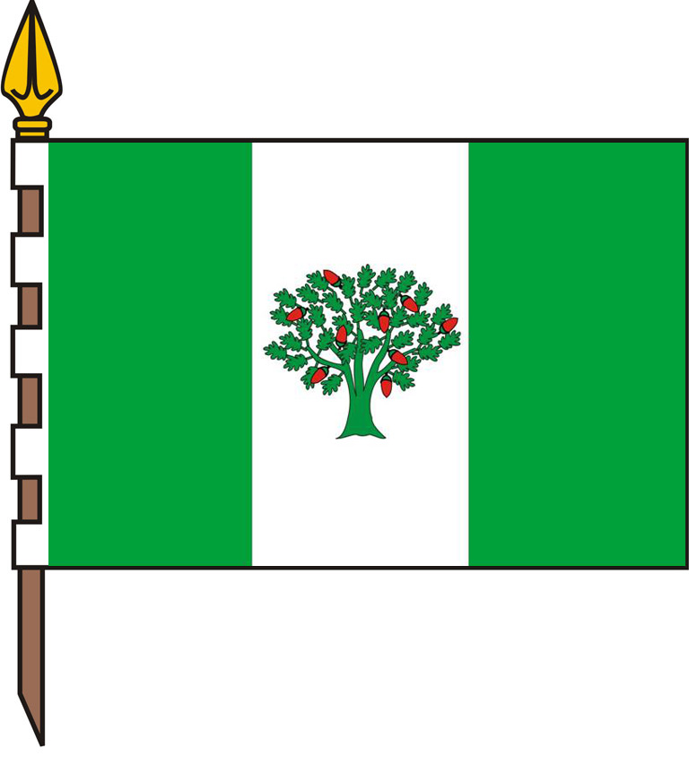 Bandeira da Cañiza