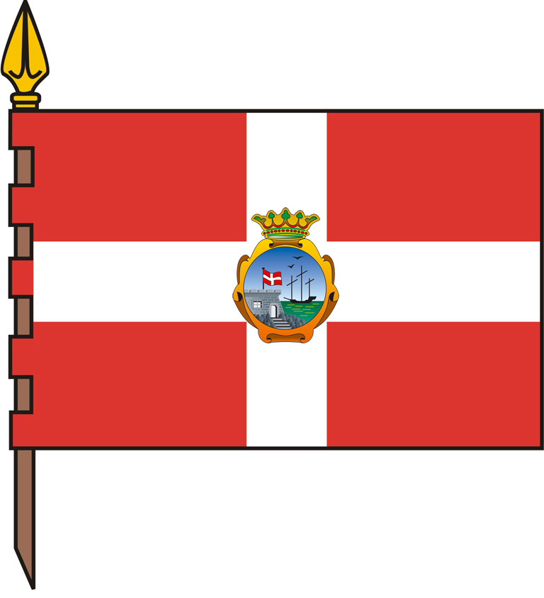 Bandeira da Guarda