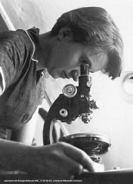 Rosalind Franklin