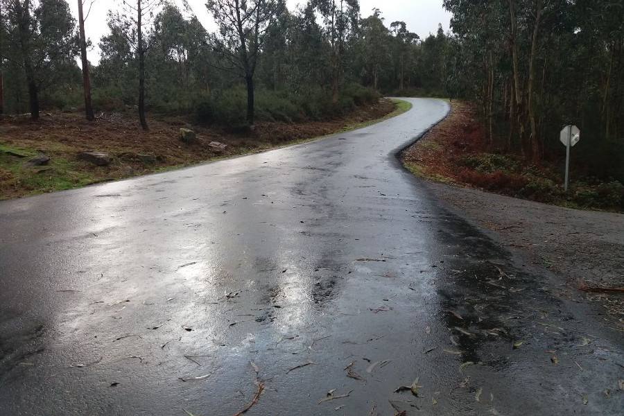 PAVIMENTACIÓN CAMIÑOS MUNICIPAIS